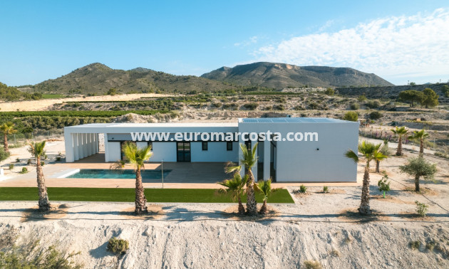 New Build - detached - Pinoso
