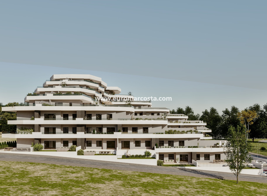 New Build - Apartment / flat - San Miguel de Salinas