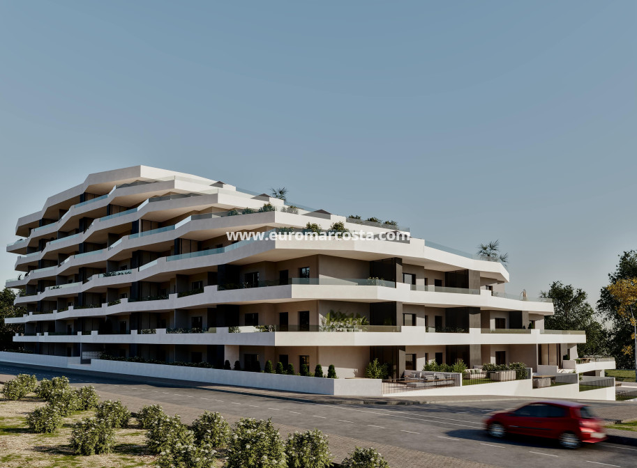 New Build - Apartment / flat - San Miguel de Salinas
