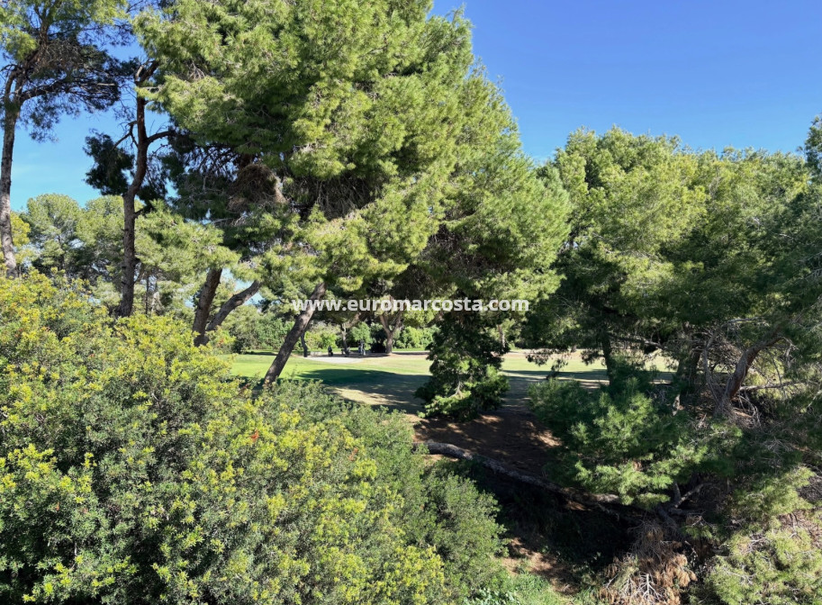 Objekte zum Wiederverkauf - Single Family Home - Orihuela Costa