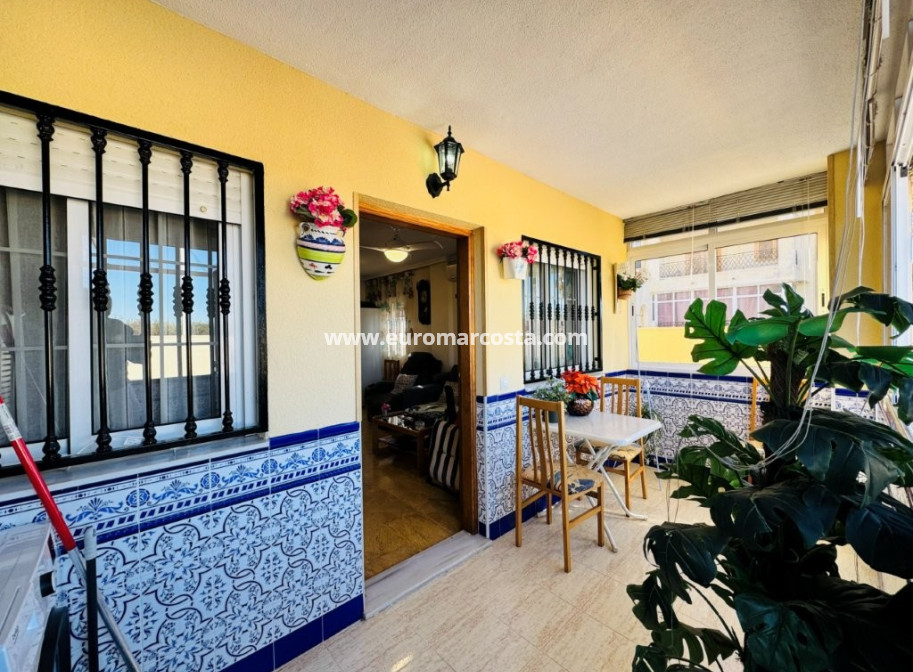 Sale - Apartment / flat - La Mata