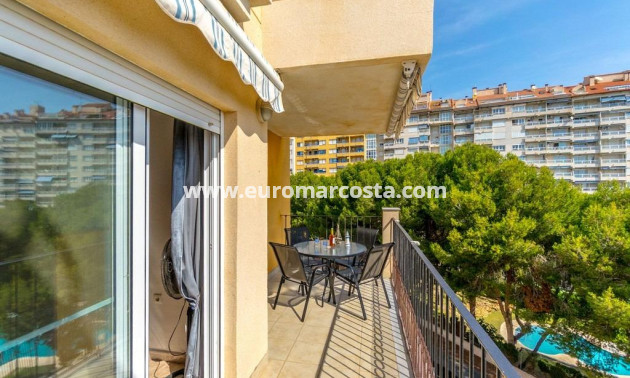 Sale - Apartment / flat - Orihuela Costa