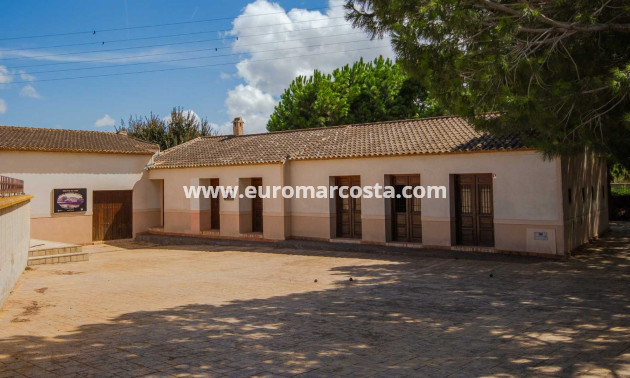 Sale - Apartment / flat - Formentera del Segura
