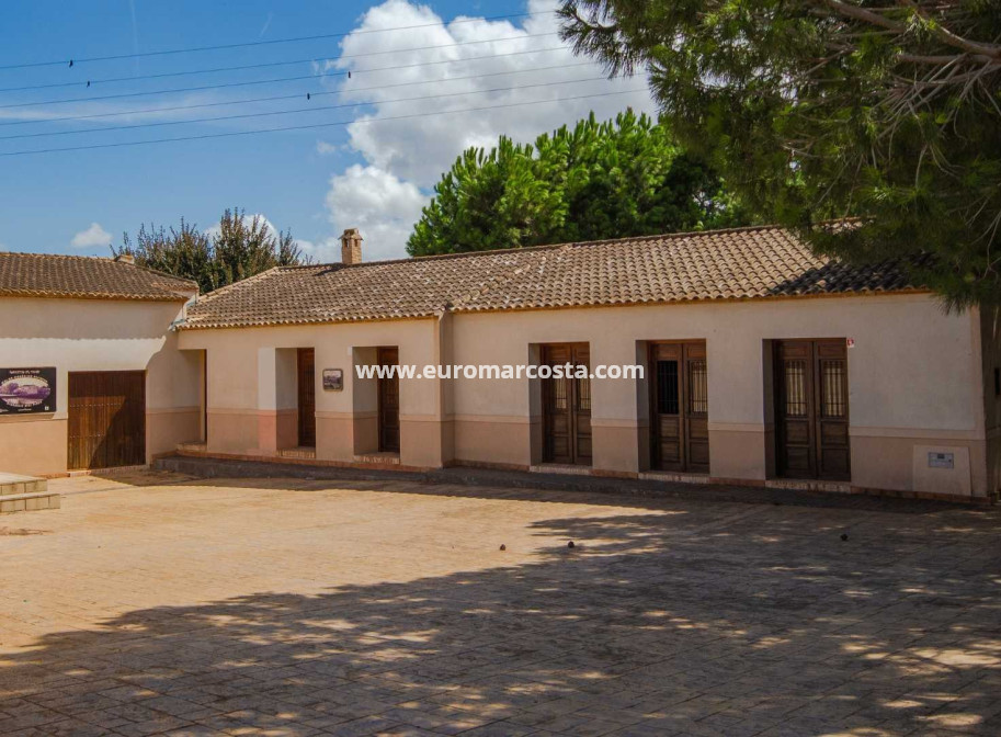 Sale - Apartment / flat - Formentera del Segura
