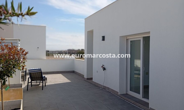 Objekte zum Wiederverkauf - Villa freitstehend - Daya Vieja