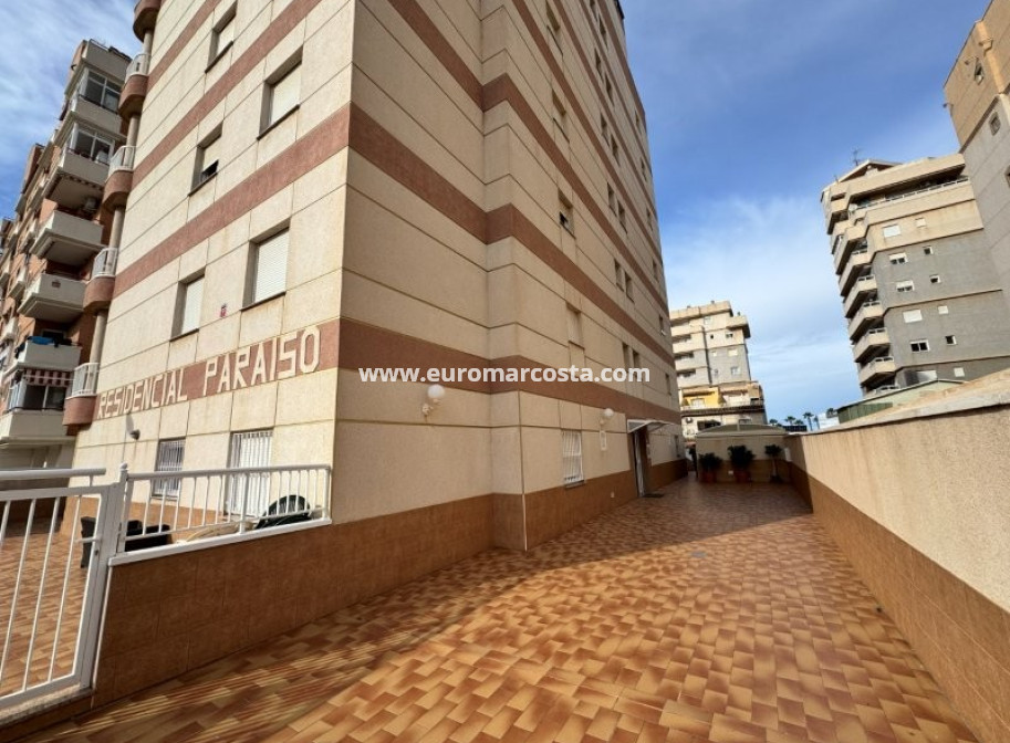 Sale - Apartment / flat - Torrevieja - TORREVIEJA