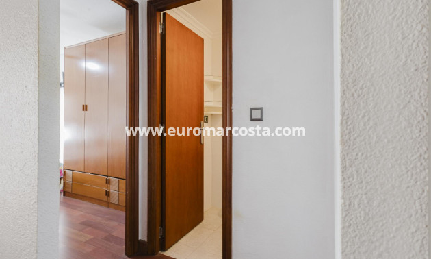 Venta - Apartamento / piso - Torrevieja - TORREVIEJA