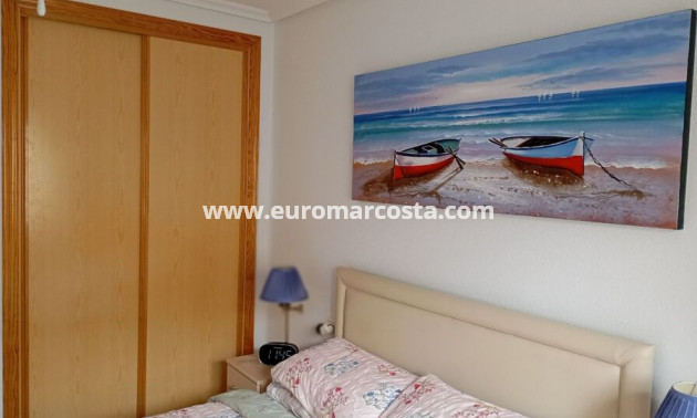 Venta - Apartamento / piso - Daya Vieja