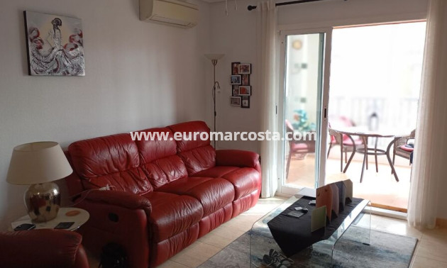 Venta - Apartamento / piso - Daya Vieja