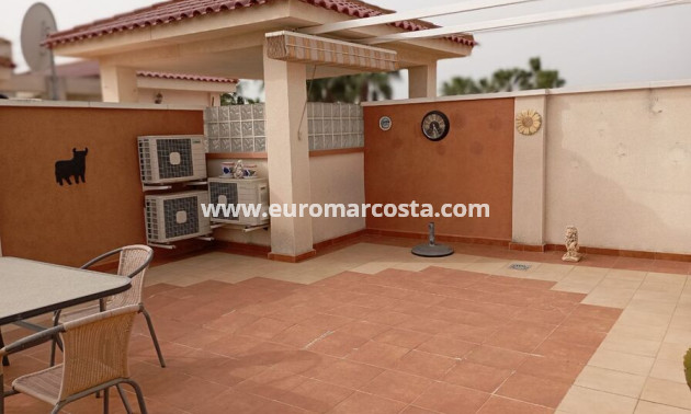 Venta - Apartamento / piso - Daya Vieja