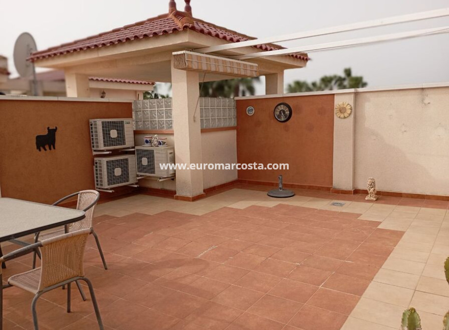 Venta - Apartamento / piso - Daya Vieja