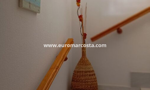 Venta - Apartamento / piso - Daya Vieja