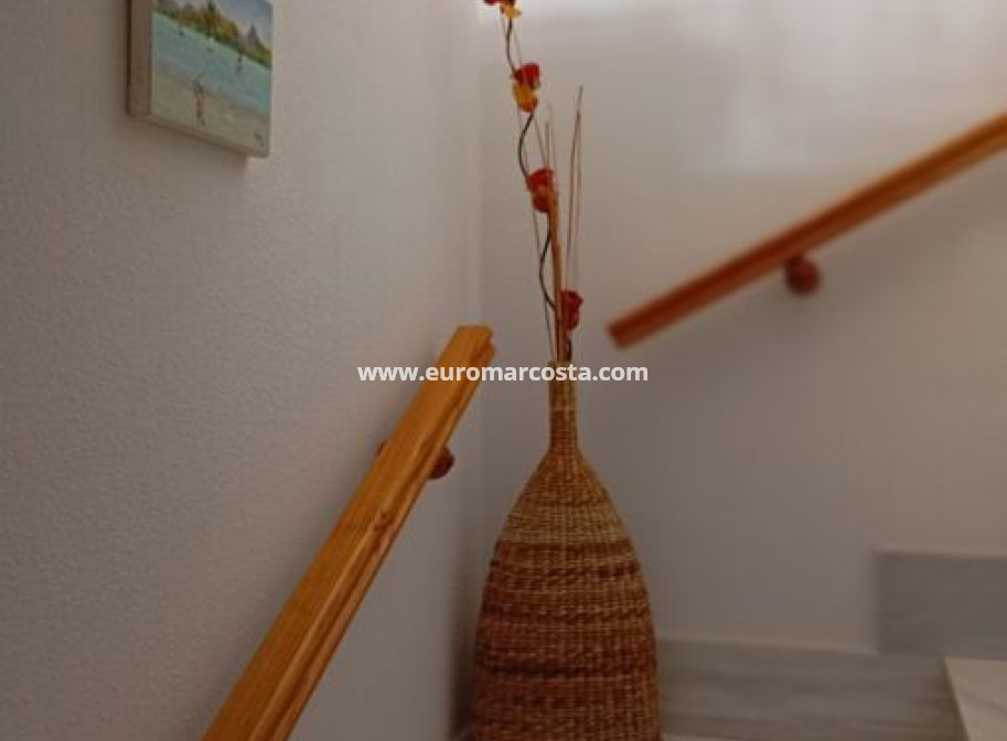 Venta - Apartamento / piso - Daya Vieja