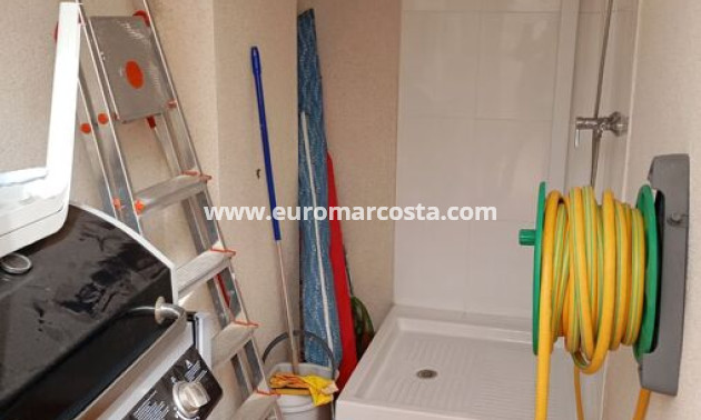 Venta - Apartamento / piso - Daya Vieja