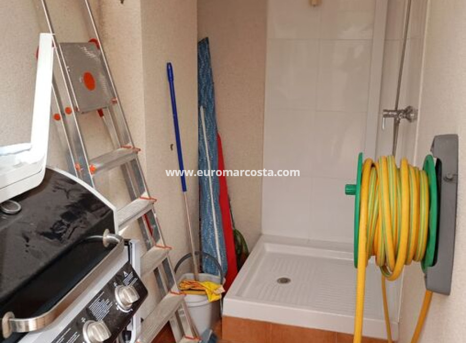 Venta - Apartamento / piso - Daya Vieja