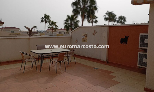 Venta - Apartamento / piso - Daya Vieja