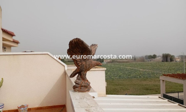 Venta - Apartamento / piso - Daya Vieja