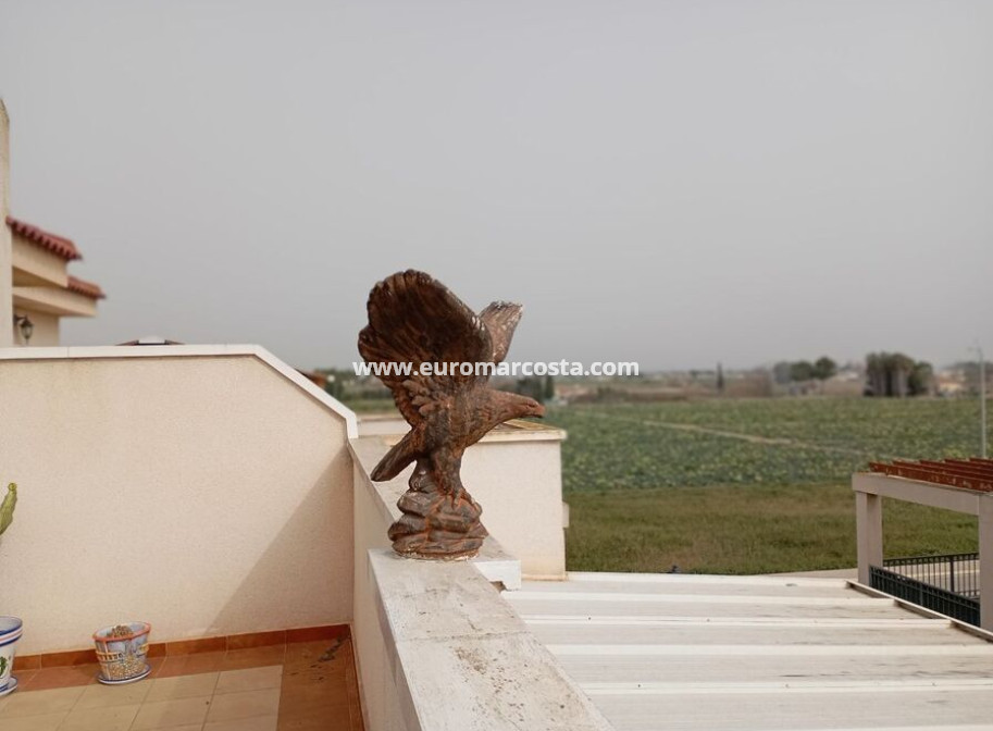 Venta - Apartamento / piso - Daya Vieja