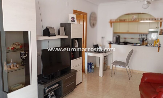 Venta - Apartamento / piso - Daya Vieja