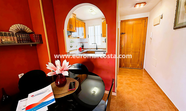 Venta - Apartamento / piso - Torrevieja - TORREVIEJA