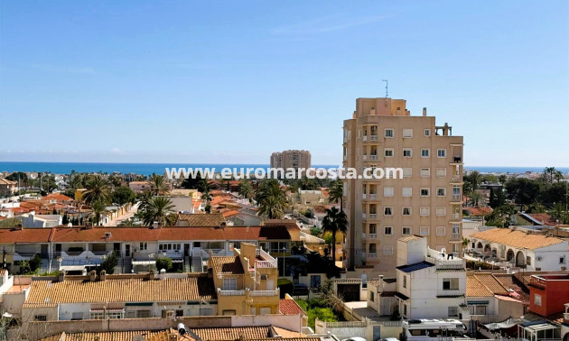 Venta - Apartamento / piso - Torrevieja - TORREVIEJA