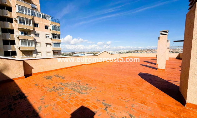 Venta - Apartamento / piso - Torrevieja - TORREVIEJA