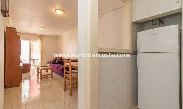Sale - Apartment / flat - Torrevieja - TORREVIEJA