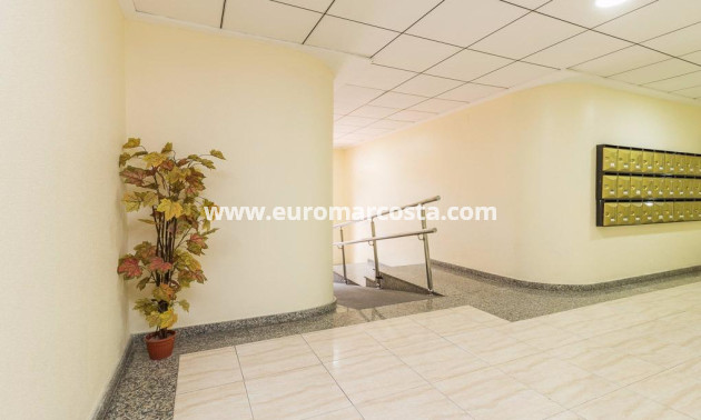 Sale - Apartment / flat - Torrevieja - TORREVIEJA