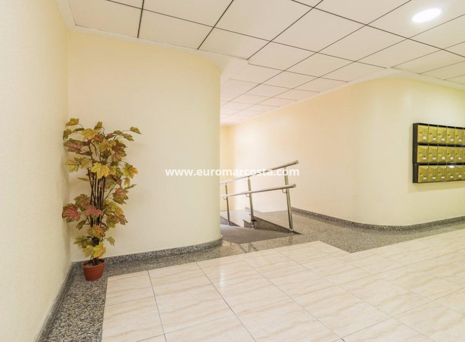 Sale - Apartment / flat - Torrevieja - TORREVIEJA