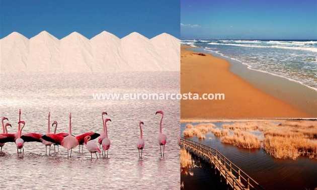 Objekte zum Wiederverkauf - Wohnung - Guardamar del Segura - Puerto Deportivo