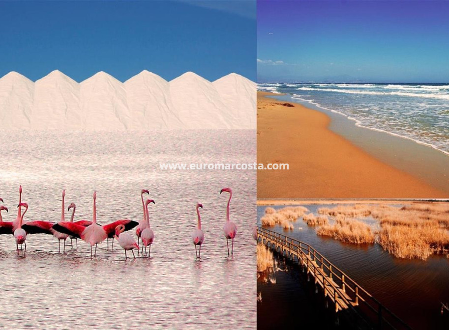 Objekte zum Wiederverkauf - Wohnung - Guardamar del Segura - Puerto Deportivo