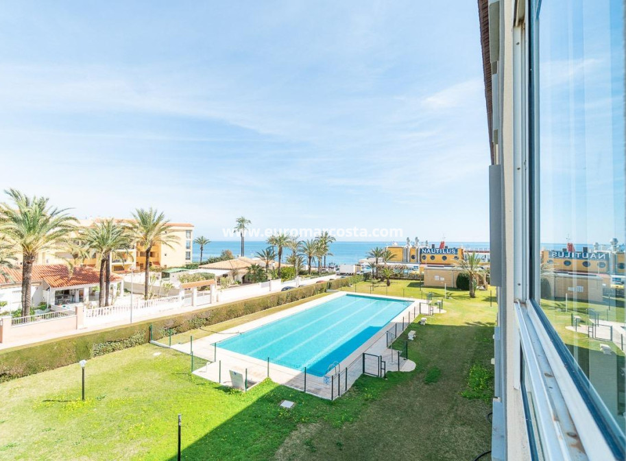 Sale - Apartment / flat - Torrevieja - TORREVIEJA