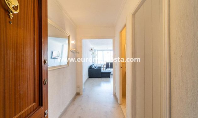 Sale - Apartment / flat - Torrevieja - TORREVIEJA