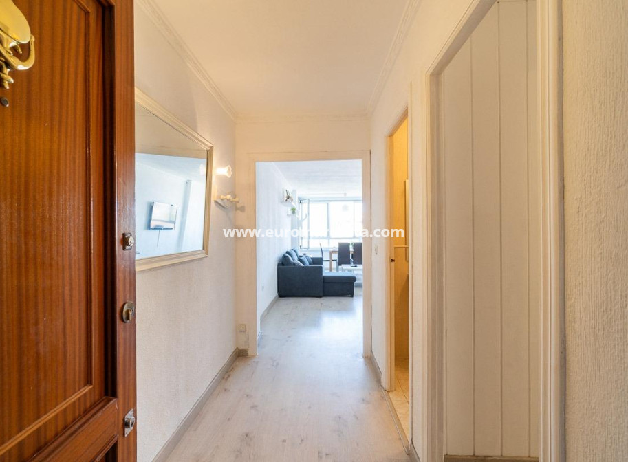 Sale - Apartment / flat - Torrevieja - TORREVIEJA