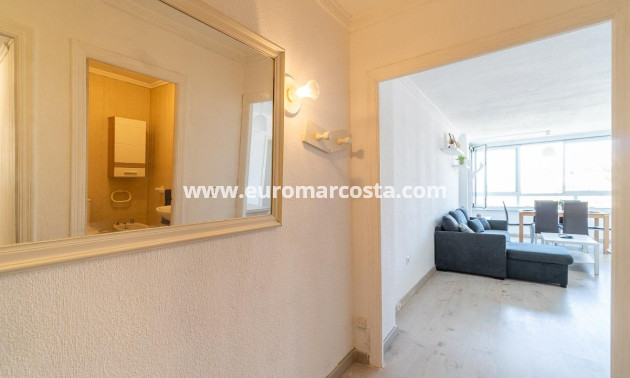 Sale - Apartment / flat - Torrevieja - TORREVIEJA