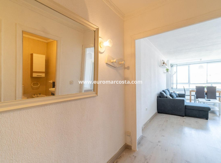 Sale - Apartment / flat - Torrevieja - TORREVIEJA