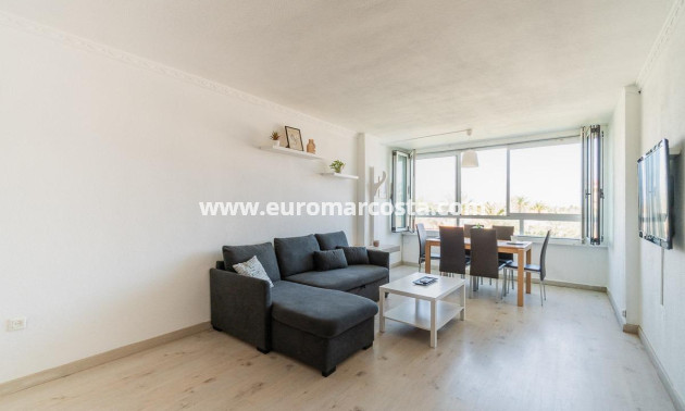 Sale - Apartment / flat - Torrevieja - TORREVIEJA
