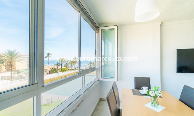 Sale - Apartment / flat - Torrevieja - TORREVIEJA