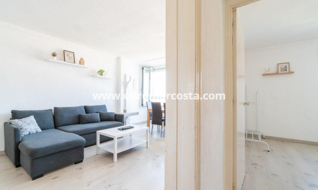 Sale - Apartment / flat - Torrevieja - TORREVIEJA