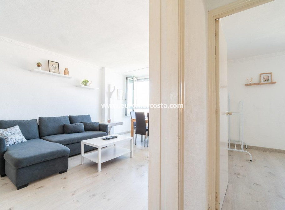 Sale - Apartment / flat - Torrevieja - TORREVIEJA