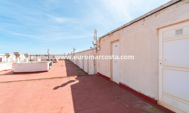 Sale - Apartment / flat - Torrevieja - TORREVIEJA