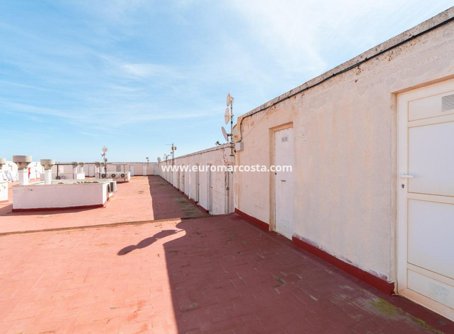 Sale - Apartment / flat - Torrevieja - TORREVIEJA