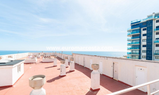 Sale - Apartment / flat - Torrevieja - TORREVIEJA