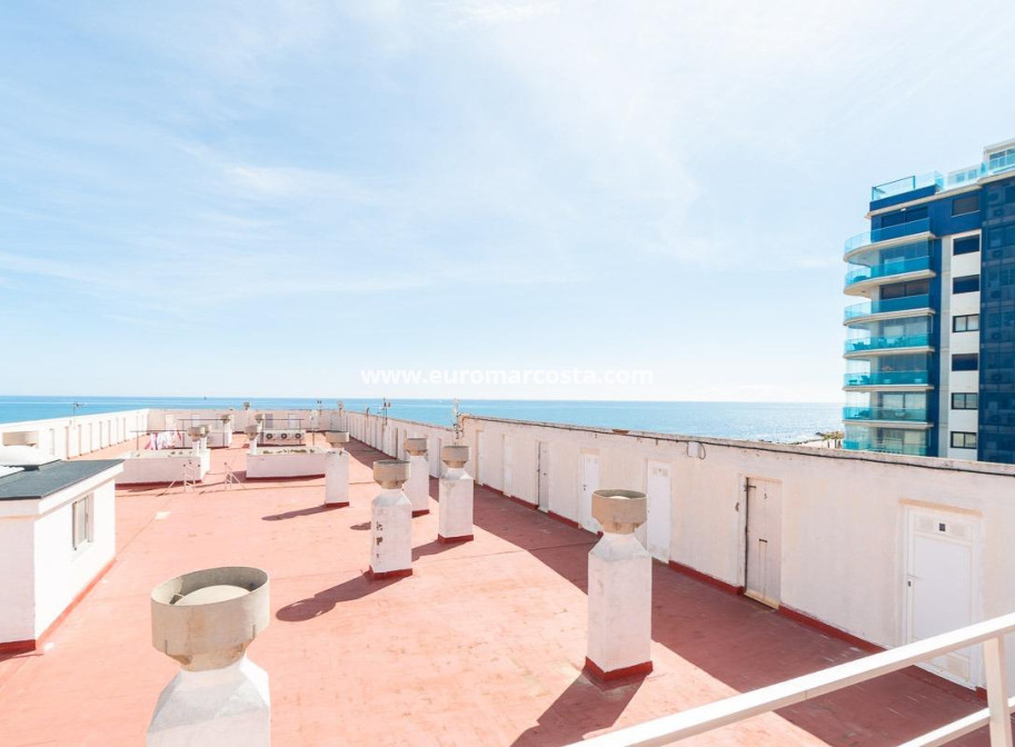 Sale - Apartment / flat - Torrevieja - TORREVIEJA