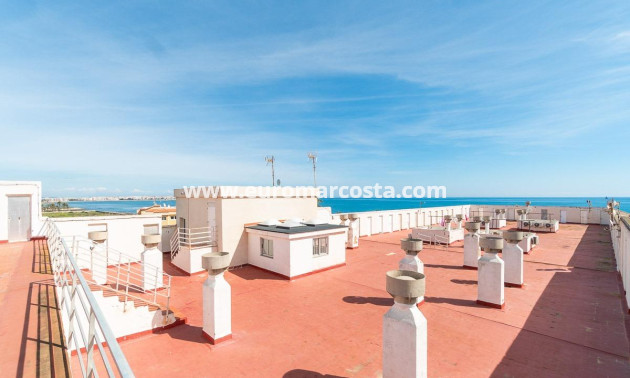 Sale - Apartment / flat - Torrevieja - TORREVIEJA