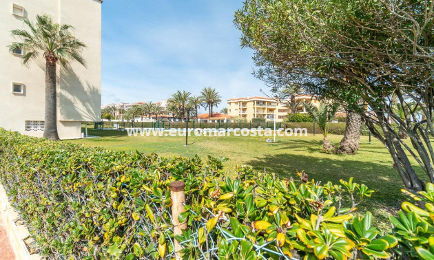 Sale - Apartment / flat - Torrevieja - TORREVIEJA