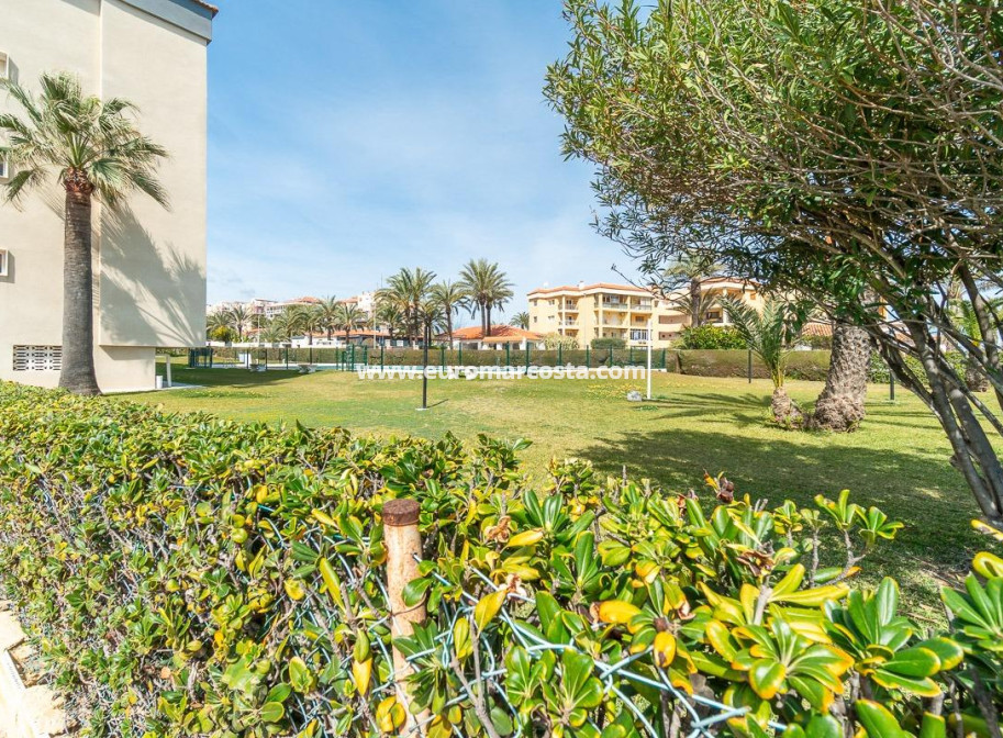 Sale - Apartment / flat - Torrevieja - TORREVIEJA