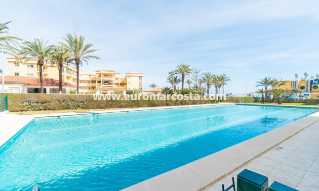 Sale - Apartment / flat - Torrevieja - TORREVIEJA