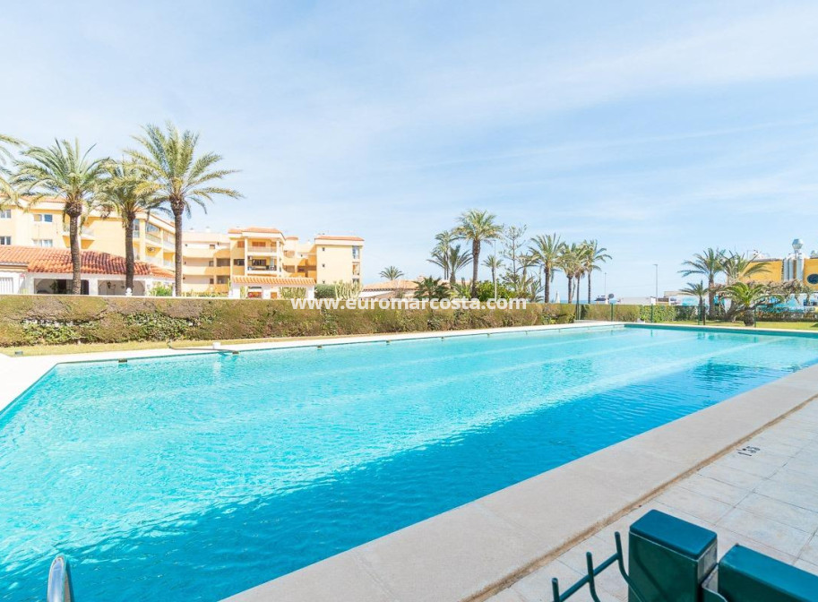 Sale - Apartment / flat - Torrevieja - TORREVIEJA