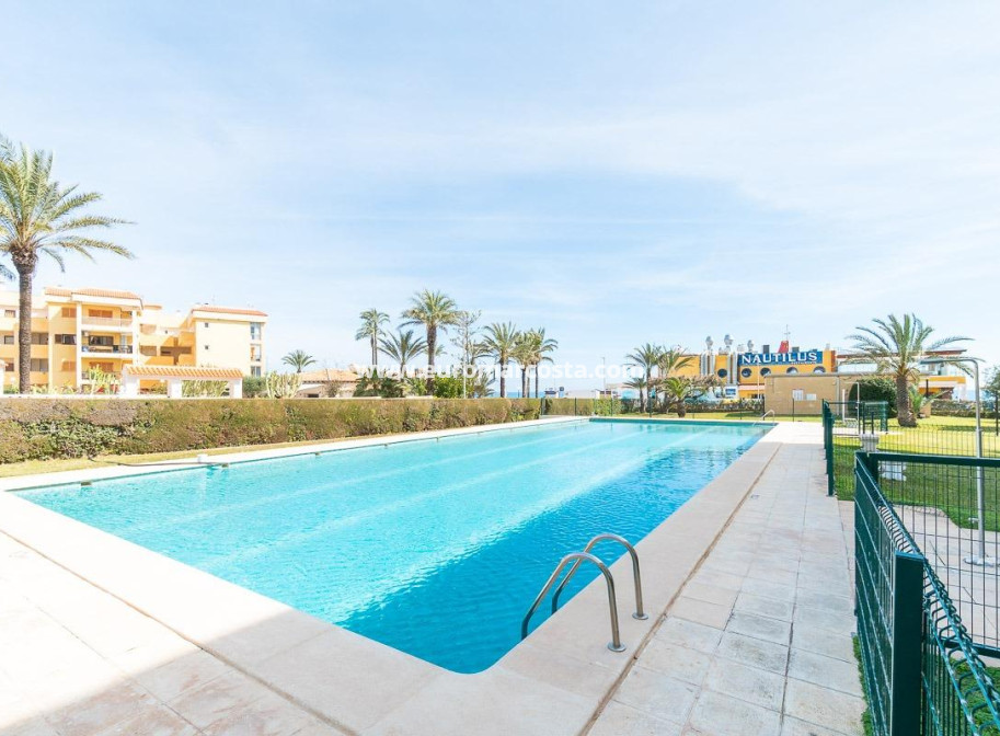 Sale - Apartment / flat - Torrevieja - TORREVIEJA
